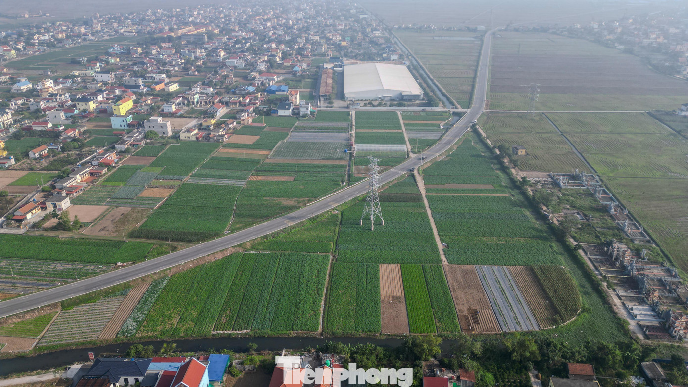 Ngắm 'siêu dự án' giao thông 6.000 tỷ kết nối vùng ven biển Ninh Bình - Ảnh 14