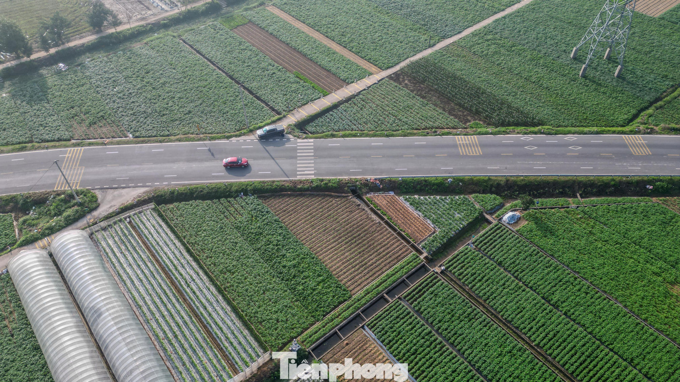 Ngắm 'siêu dự án' giao thông 6.000 tỷ kết nối vùng ven biển Ninh Bình - Ảnh 7