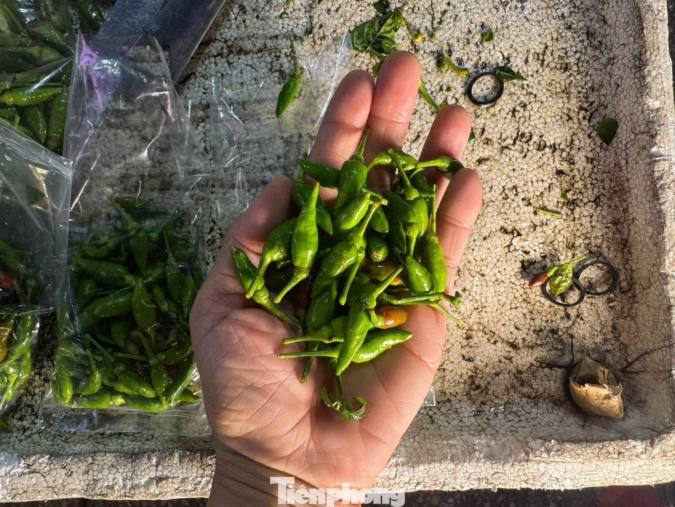 Ớt ra vỉa hè, giá cao ngất - Ảnh 4