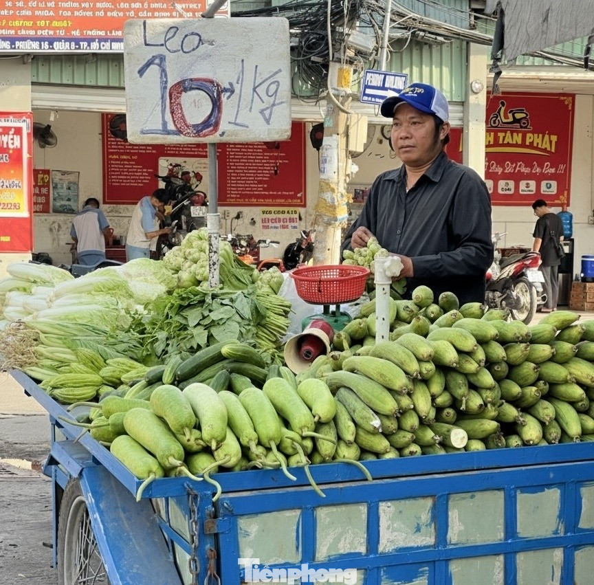 Hàng loạt rau củ bất ngờ chỉ còn 10.000 đồng/kg - Ảnh 4
