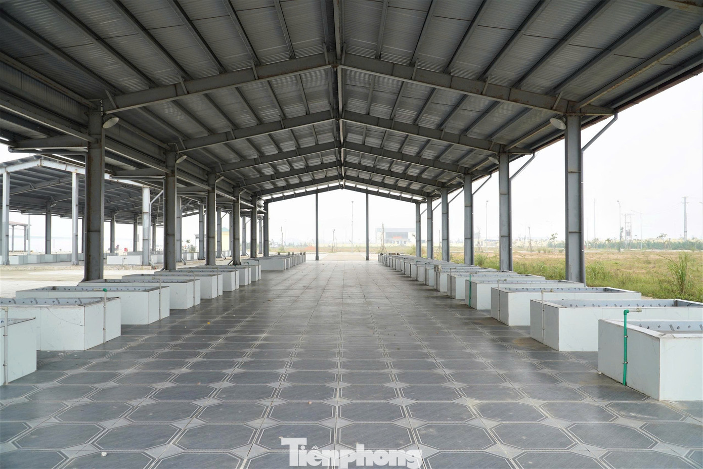 Cận cảnh cảng cá 280 tỷ đồng vừa đưa vào khai thác tại Hà Tĩnh - Ảnh 4