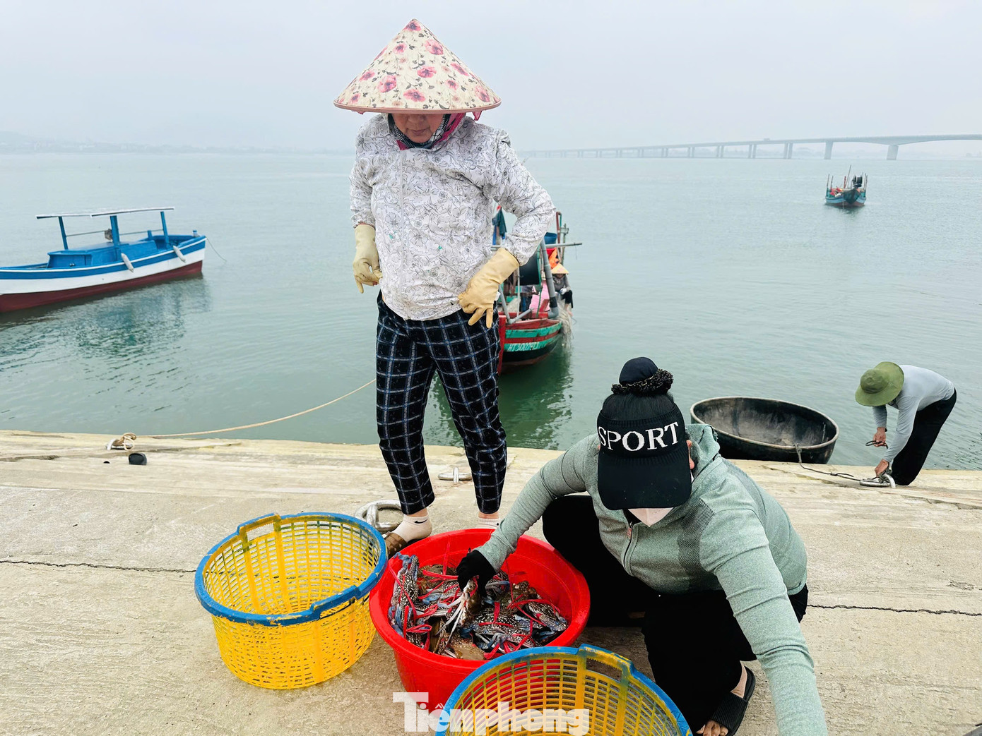 Cận cảnh cảng cá 280 tỷ đồng vừa đưa vào khai thác tại Hà Tĩnh - Ảnh 9