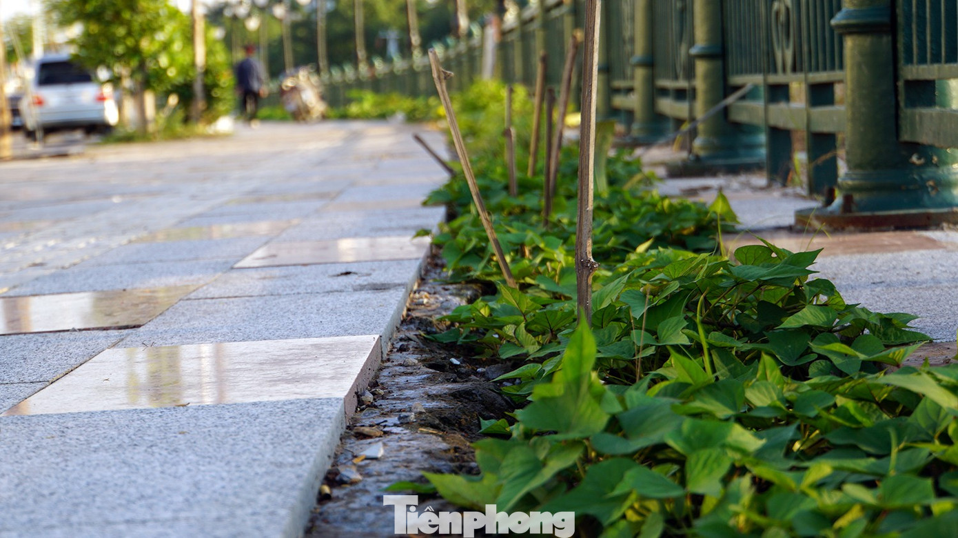 Lãnh đạo TP Hải Phòng ra 'tối hậu thư', gấp rút thi công dự án cải tạo bờ sông Tam Bạc - Ảnh 19