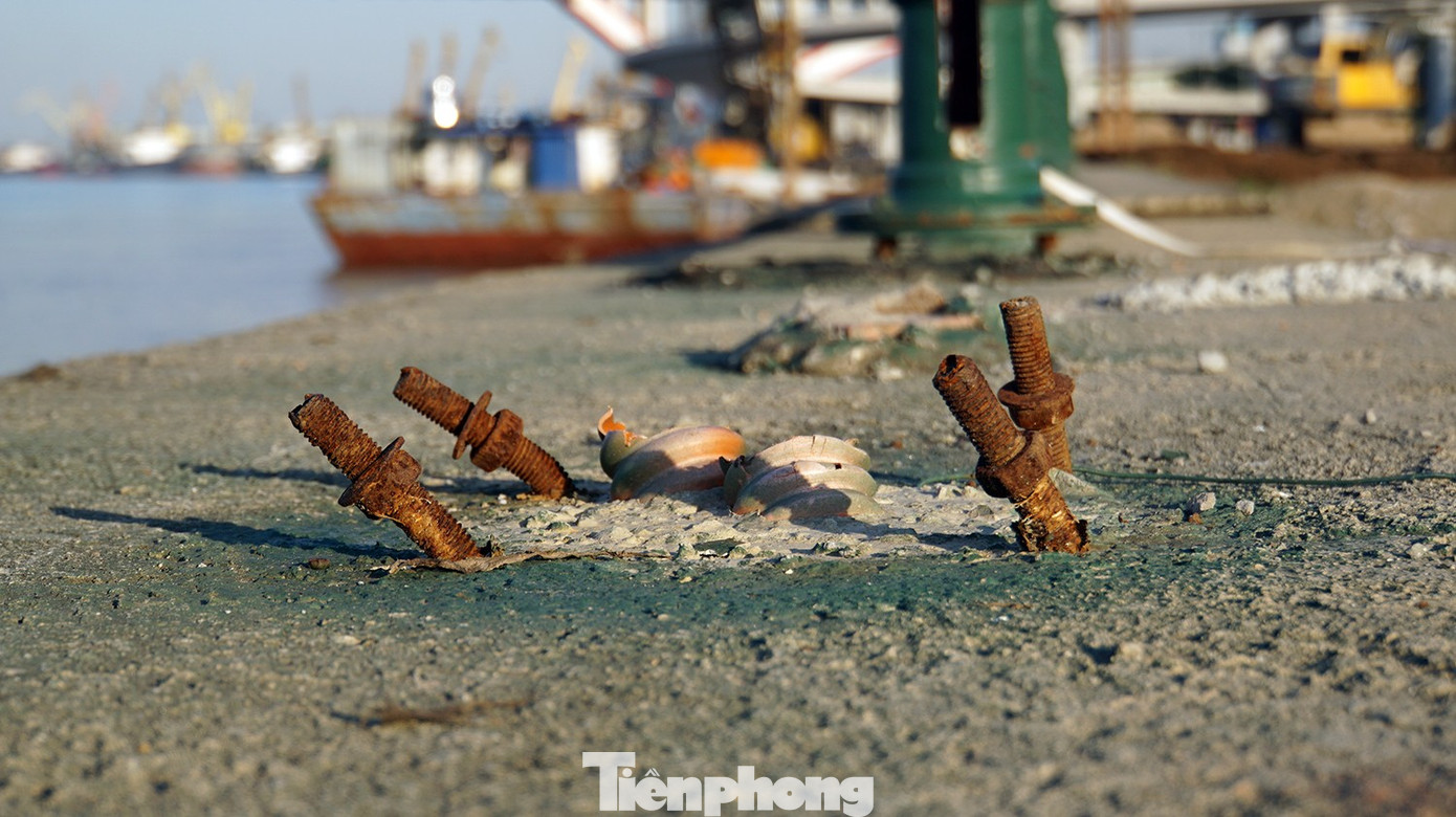 Lãnh đạo TP Hải Phòng ra 'tối hậu thư', gấp rút thi công dự án cải tạo bờ sông Tam Bạc - Ảnh 13