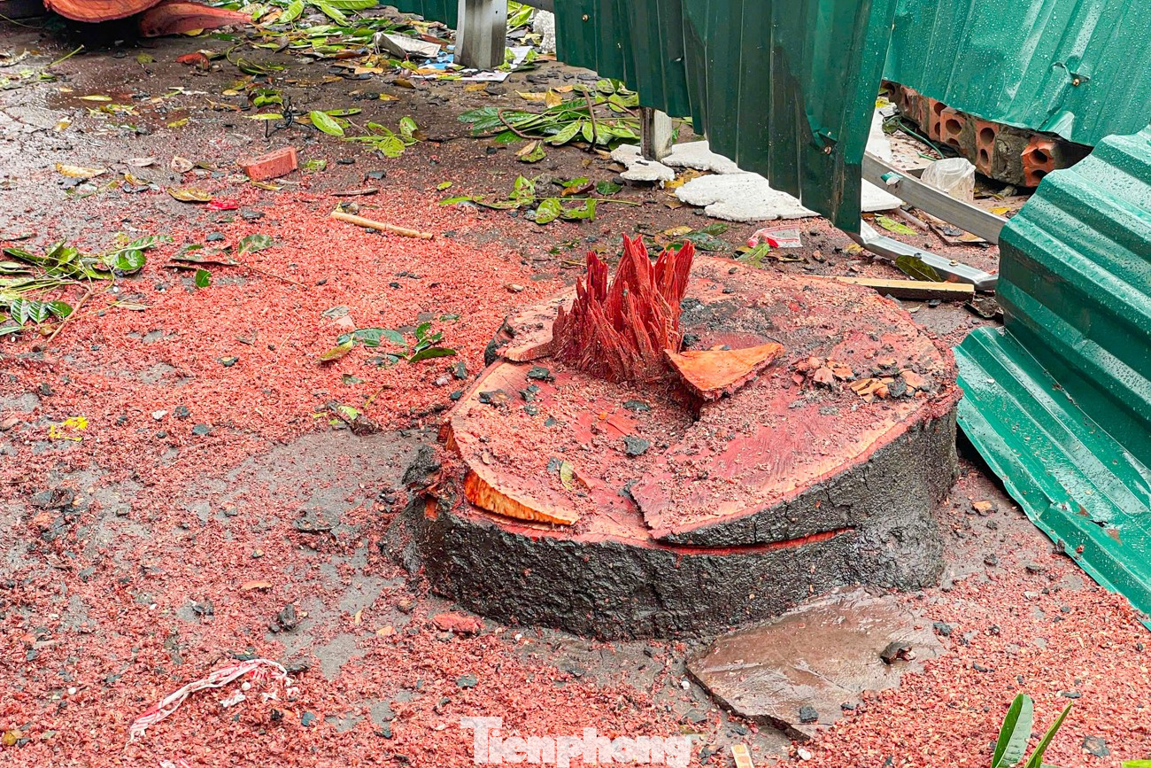 Dự án đường Vành đai 1 đoạn Hoàng Cầu - Voi Phục 'thần tốc' giải phóng mặt bằng - Ảnh 29