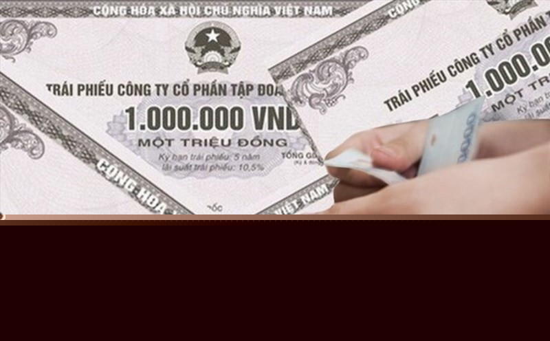 Lý do vốn đổ vào thị trường trái phiếu không 'nóng sốt' - Ảnh 1