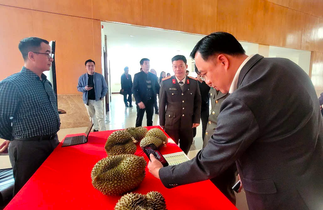 Thí điểm truy xuất nguồn gốc sầu riêng từ đầu năm 2026 - Ảnh 1