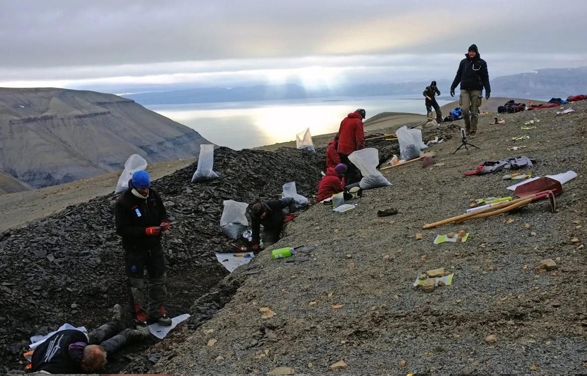 Xuất hiện đàn thủy quái 249 triệu tuổi đảo lộn lịch sử tiến hóa - Ảnh 1