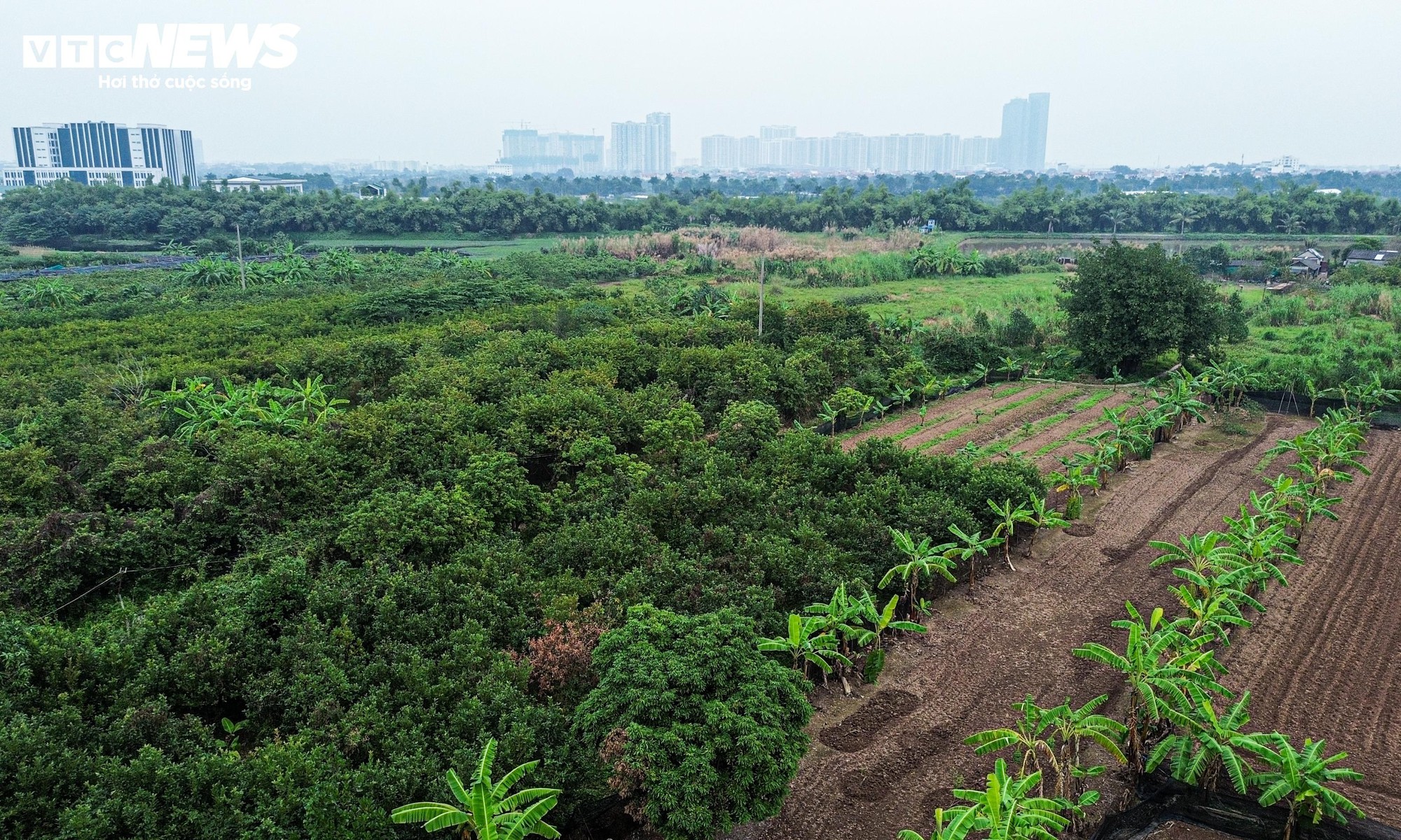 Mục sở thị vị trí Hà Nội dự kiến xây hầm đường bộ hơn 24.600 tỷ qua sông Hồng - Ảnh 8