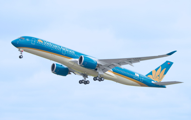 Vietnam Airlines bổ nhiệm 1 Phó Tổng Giám đốc - Ảnh 1