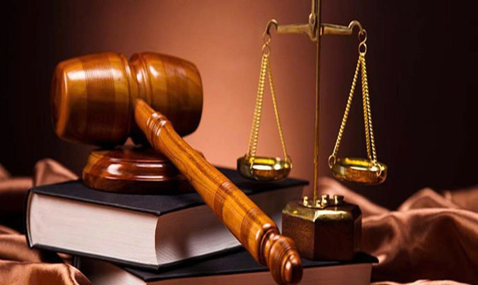 Cơ khí Điện lực (PEC) bị xử phạt do vi phạm công bố thông tin - Ảnh 1