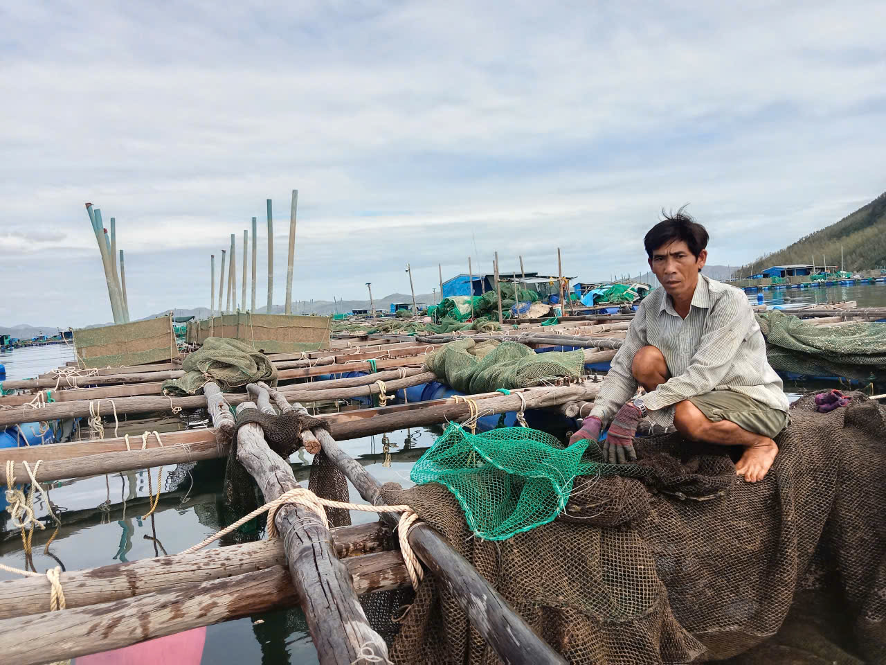 Tôm hùm chết hàng loạt trong mưa lũ, người nuôi “ôm đầu”! - Ảnh 3