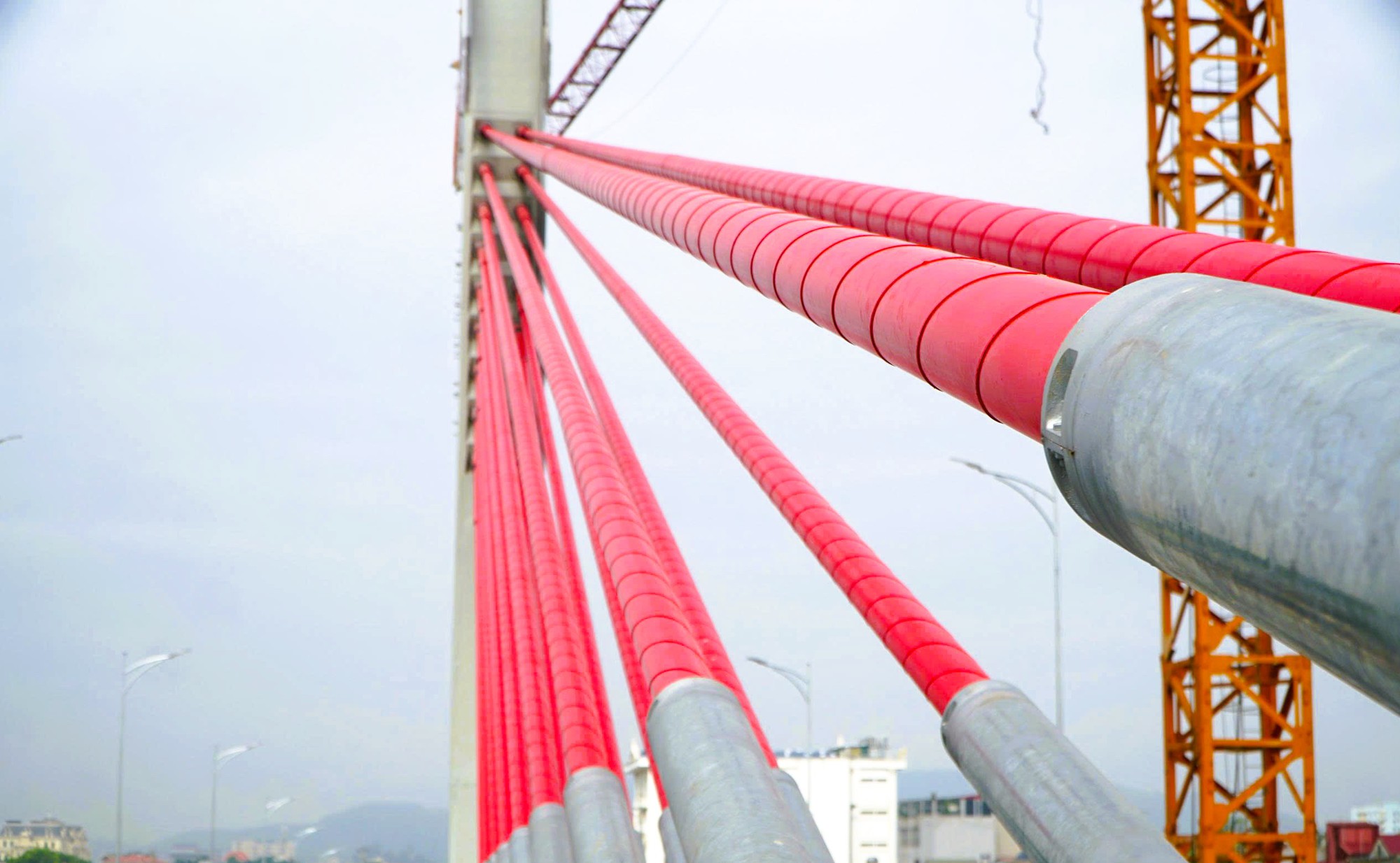 Cầu dây văng đầu tiên vượt đường sắt Bắc - Nam ở Thanh Hóa - Ảnh 7