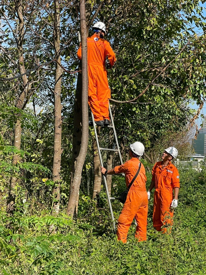 EVNGENCO3 hỗ trợ hơn 7 tỉ đồng cho miền Trung, Tây nguyên sau bão lũ - Ảnh 1