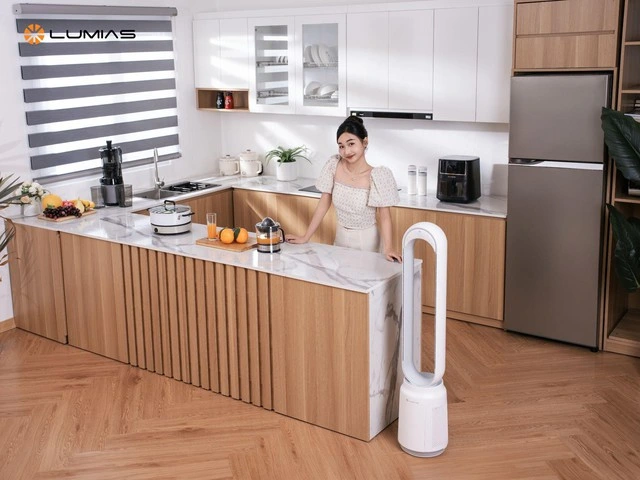 Chiến lược ‘thực dụng’ giúp Lumias chinh phục phân khúc gia dụng tầm trung tại Việt Nam - Ảnh 1