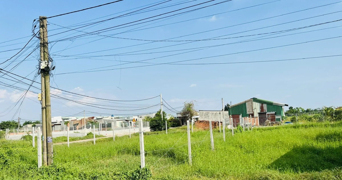 TP.HCM hoàn thiện cơ sở dữ liệu đất đai cho hơn 3,1 triệu thửa đất