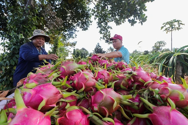 Xuất nhập khẩu lập kỷ lục 920 tỉ USD - Ảnh 1