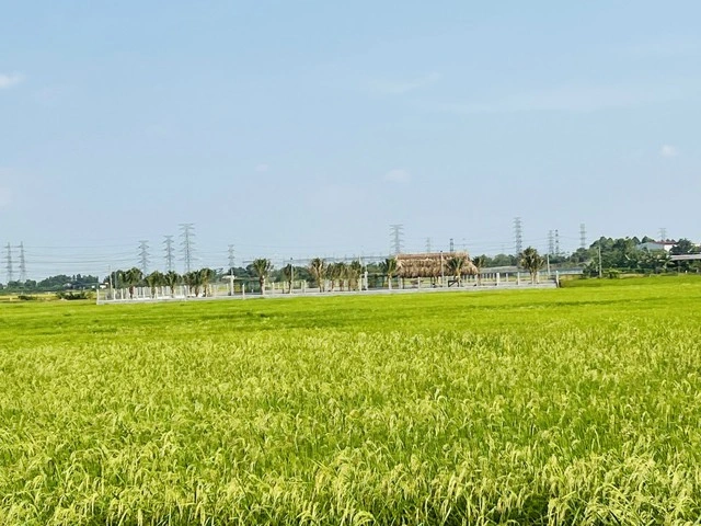 Sở Nông nghiệp - Môi trường lý giải vì sao giá đất nông nghiệp thấp - Ảnh 1