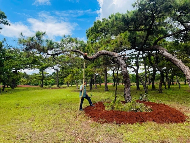 Chấp thuận đầu tư sân golf Đăk Đoa hơn 1.150 tỉ đồng - Ảnh 1