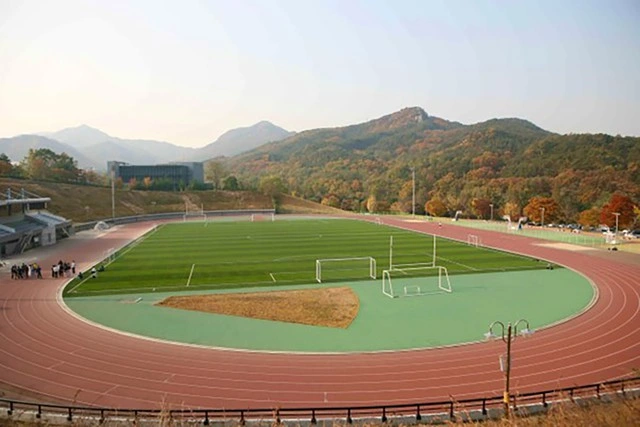 Study Tour Hàn Quốc - Bước đệm lý tưởng khi du học - Ảnh 2