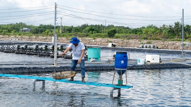 De Heus ký kết hợp tác với Tập đoàn Minh Phú nuôi tôm và cá rô phi - Ảnh 2