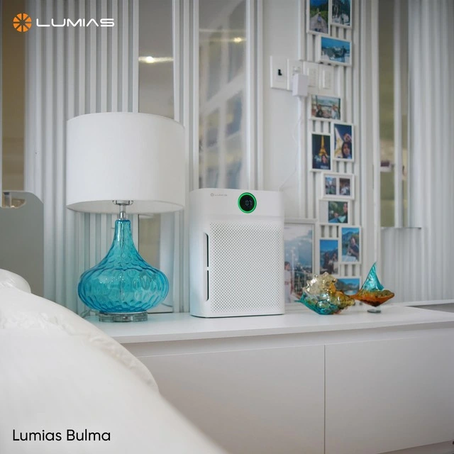 Chiến lược ‘thực dụng’ giúp Lumias chinh phục phân khúc gia dụng tầm trung tại Việt Nam - Ảnh 3