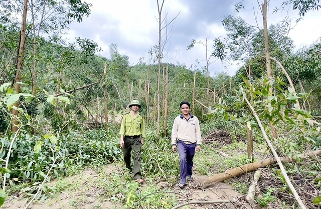 Người làm vườn mất tết vì lũ lụt - Ảnh 3