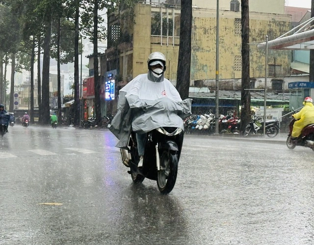 TP.HCM tuần này tiếp tục có mưa trái mùa - Ảnh 1