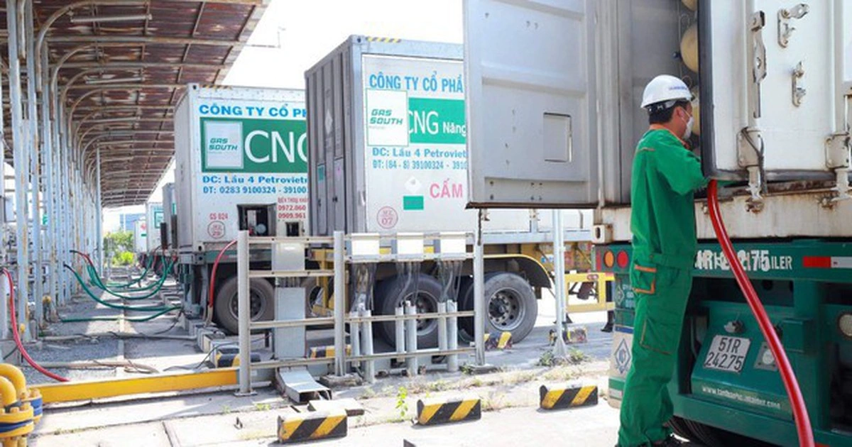 Không có chuyện hàng trăm xe buýt CNG tại TP.HCM ngưng hoạt động vì thiếu khí