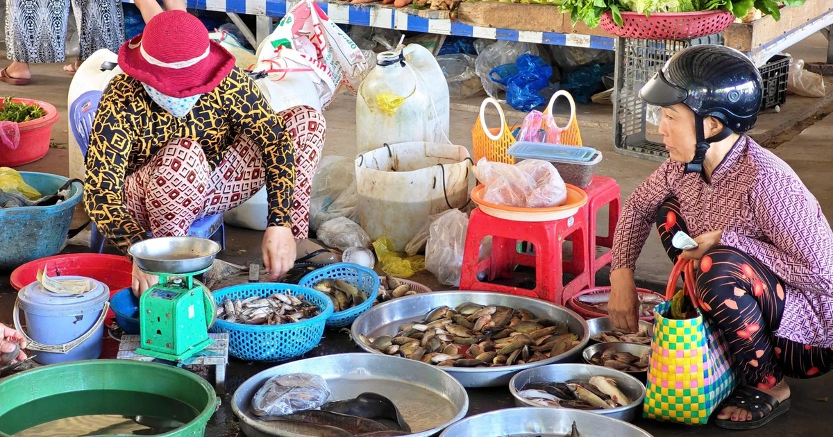 Hộ kinh doanh lại bối rối với hóa đơn