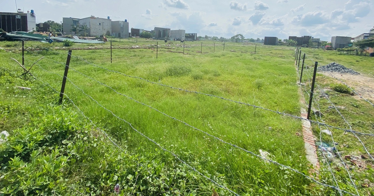 Tranh cãi giá đất nông nghiệp tại TP.HCM