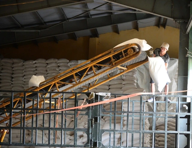 Đã đến lúc tính lại chiến lược cho gạo - Ảnh 1