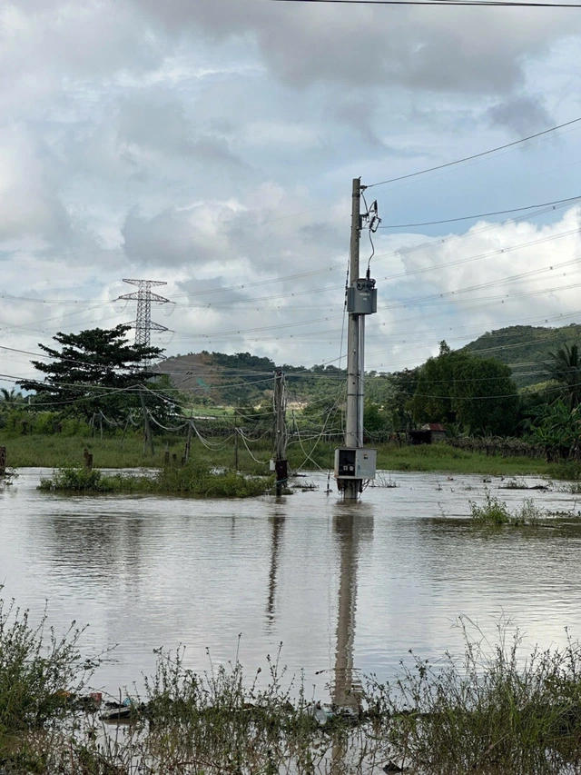 Ngập sâu diện rộng, Công ty Điện lực Lâm Đồng trực 24/24, kịp thời ứng phó - Ảnh 3