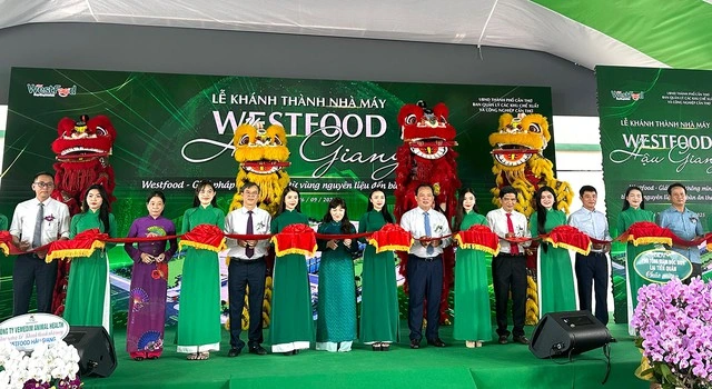 Tăng trưởng kinh tế phấn đấu đạt mức cao - Ảnh 4