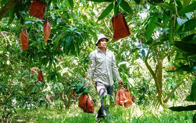 Trái cây tạo hình Tết Bính Ngọ: Nhà vườn miền Tây chăm chút từng sản phẩm - Ảnh 3