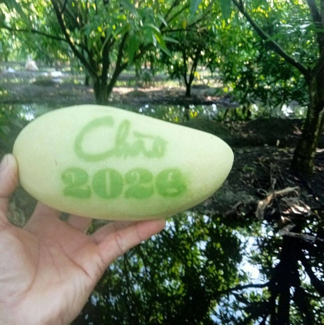 Trái cây tạo hình Tết Bính Ngọ: Nhà vườn miền Tây chăm chút từng sản phẩm - Ảnh 2