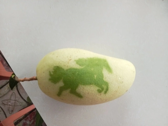 Trái cây tạo hình Tết Bính Ngọ: Nhà vườn miền Tây chăm chút từng sản phẩm - Ảnh 4