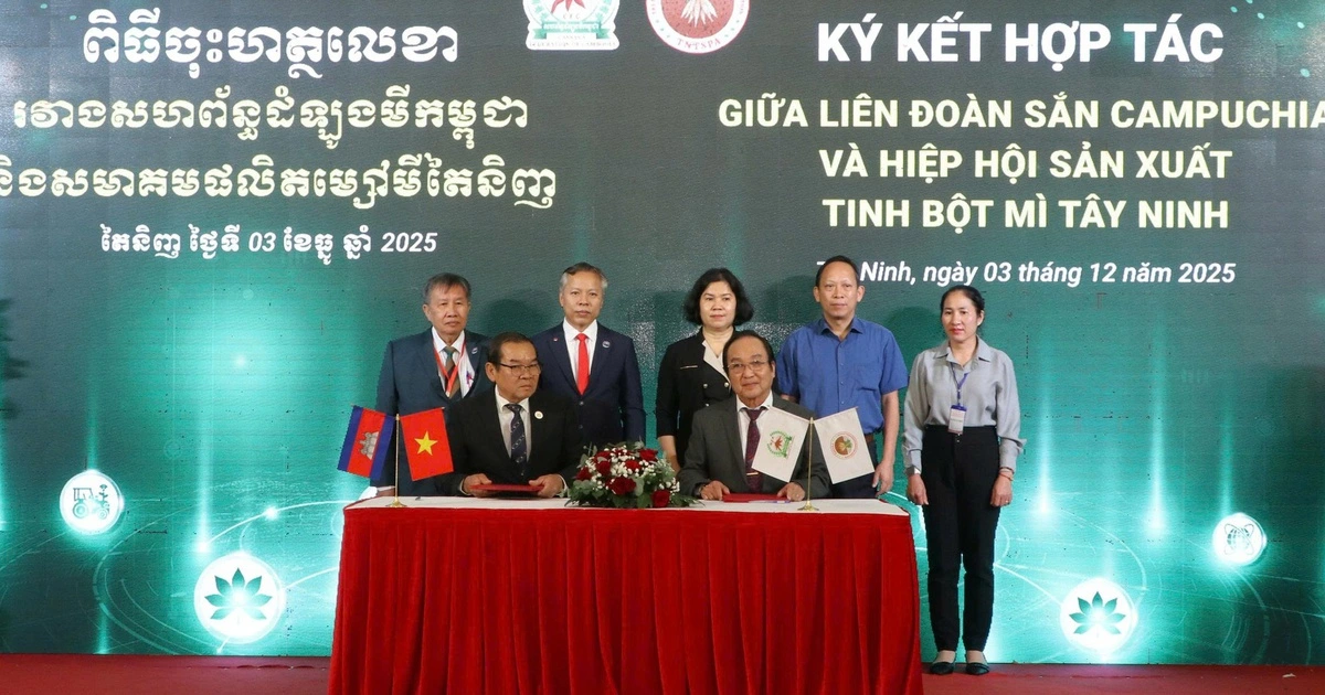 Tây Ninh 'chốt' mua 9 triệu tấn sắn mỗi năm từ Campuchia