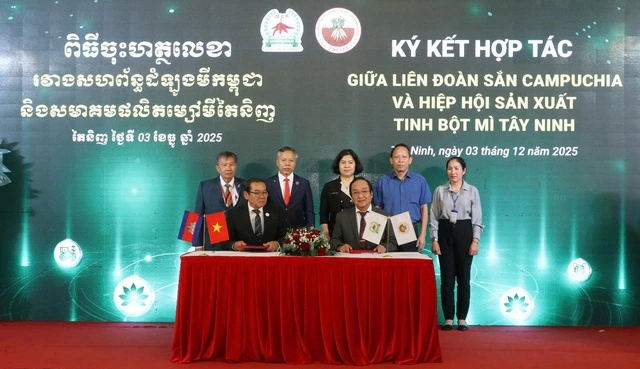 Tây Ninh 'chốt' mua 9 triệu tấn sắn mỗi năm từ Campuchia - Ảnh 1