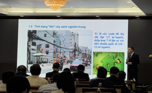 Giải pháp nào chống ngập lụt đô thị cho TP.HCM? - Ảnh 3