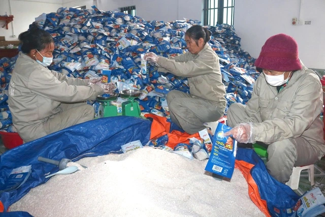 Bất ngờ với nghề… nấu muối - Ảnh 2