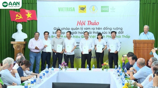 Gạo Việt từ ngon nhất đến 'xanh' nhất thế giới - Ảnh 3