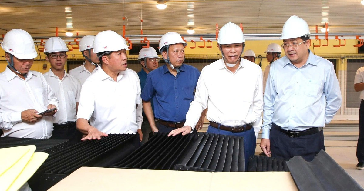 Nhiều dự án chăn nuôi lớn ở Tây Ninh bị 'nghẽn'