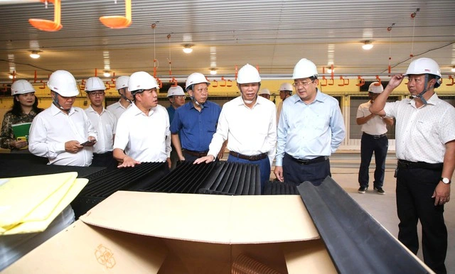 Nhiều dự án chăn nuôi lớn ở Tây Ninh bị 'nghẽn' - Ảnh 1