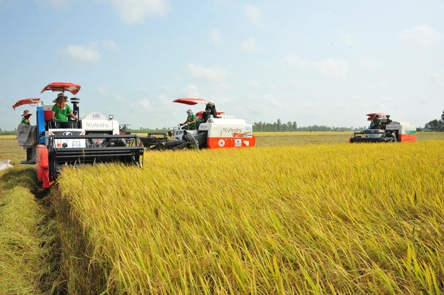 Gạo Việt từ ngon nhất đến 'xanh' nhất thế giới - Ảnh 2