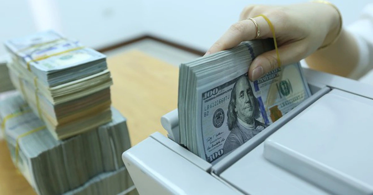 Giá USD hôm nay 10.12.2025: Đô tự do tiếp tục đi lùi