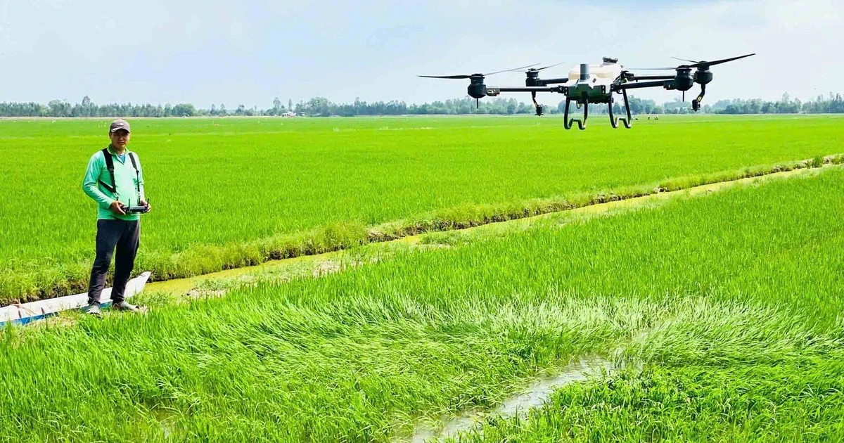 Tiềm năng kinh tế tầm thấp của Việt Nam