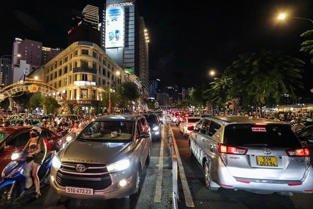 TP.HCM làm 2 cầu vượt cho người đi bộ 'thoát ải' vượt đường Tôn Đức Thắng - Ảnh 1