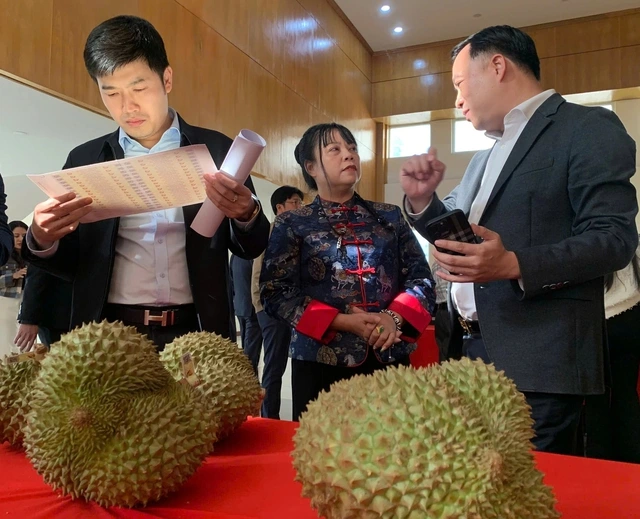 Thí điểm 'căn cước số' truy xuất nguồn gốc trên trái sầu riêng - Ảnh 2