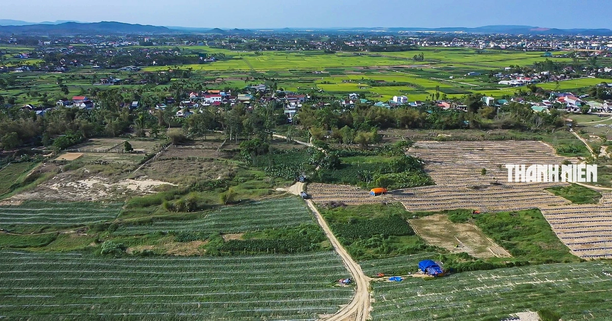 Đấu thầu chọn nhà đầu tư dự án khu đô thị 650 tỉ đồng ở Quảng Ngãi